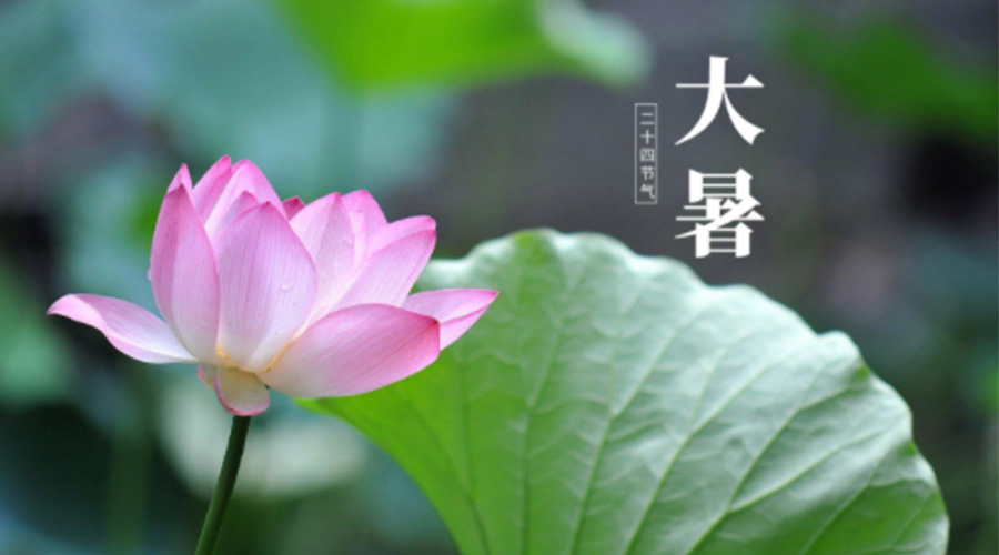 大暑時節(jié)！金環(huán)電器提醒大家注意這些干衣細節(jié)