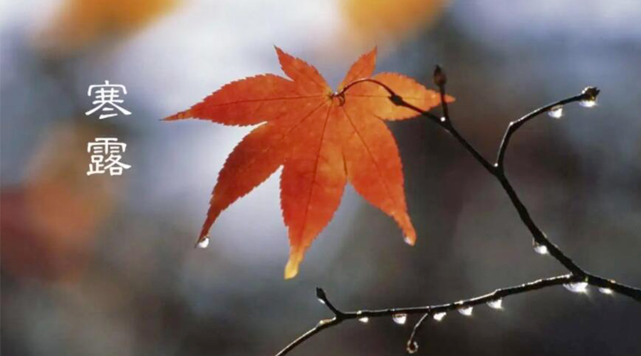 寒露時(shí)節(jié)！金環(huán)電器提醒大家要注意的事項(xiàng)