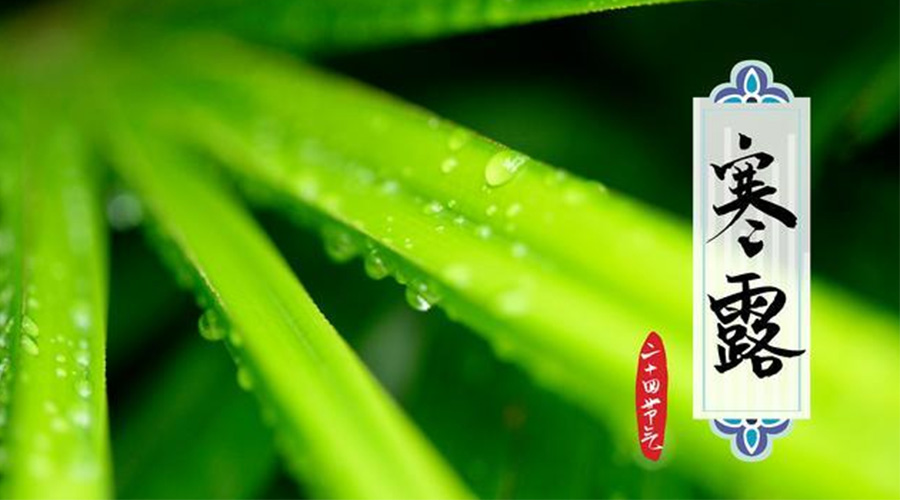 寒露時(shí)節(jié)到！金環(huán)電器提醒這些干衣事項(xiàng)要注意