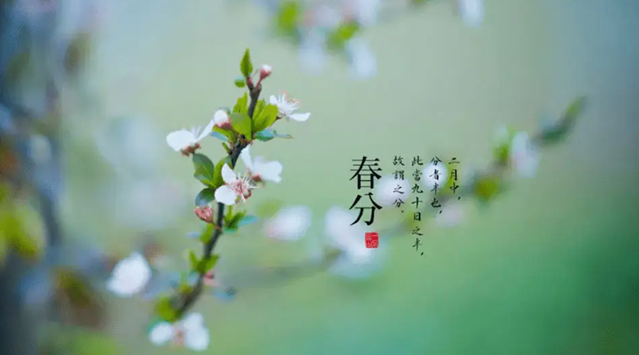 春分雨水多易生菌！金環(huán)電器提醒你衣物要注意處理