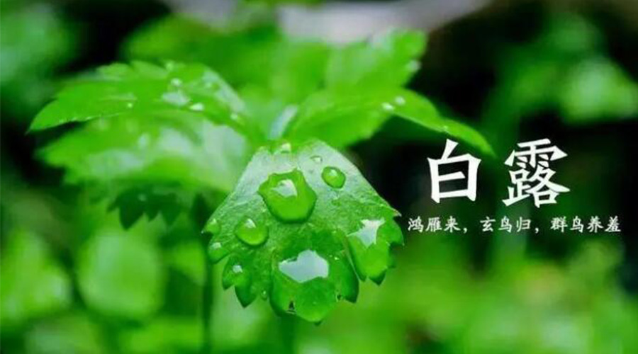 白露時節(jié)！金環(huán)電器提醒大家要注意的事項