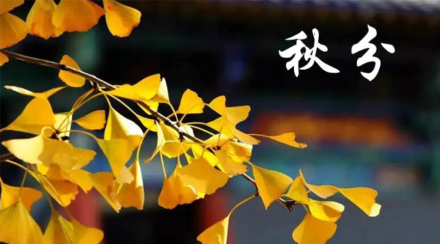 秋分時節(jié)！金環(huán)電器提醒大家要注意的事項(xiàng)